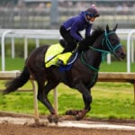 Horse racing in Japan is on the rise. A Kentucky Derby winner could be next