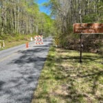 Stray dog on Blue Ridge Parkway injured after 'aggressive behavior,' NPS says