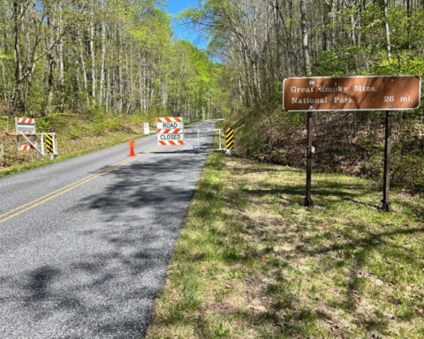 Stray dog on Blue Ridge Parkway injured after 'aggressive behavior,' NPS says