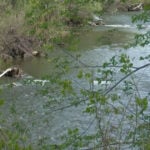 Officials ask residents to reduce water usage further ahead of dry summer