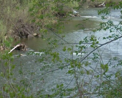 Officials ask residents to reduce water usage further ahead of dry summer