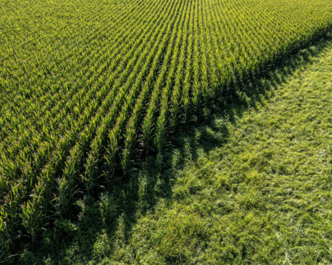 US House passes farm bill after scrapping pesticide language opposed by MAHA