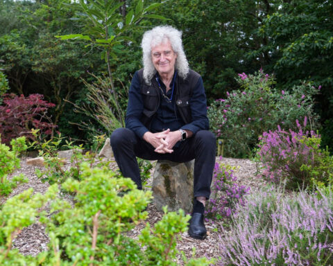 Queen guitarist Brian May barred from planting daffodils in his village on safety grounds