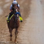 Robusta is in the Kentucky Derby field with Right to Party out