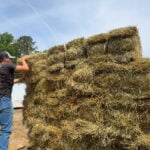 Georgia drought expands to 146 counties, driving up hay costs and raising food price concerns