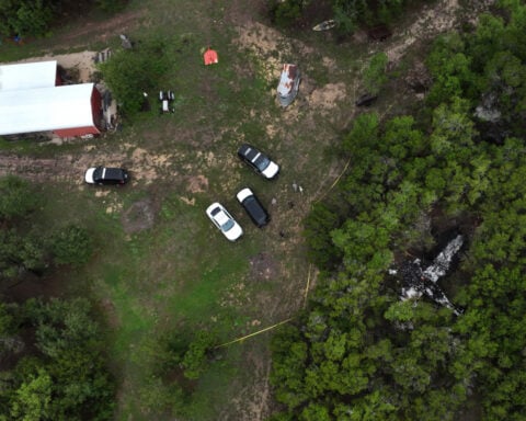 Pickleball players killed in Texas plane crash included a school tennis star, trauma counselor