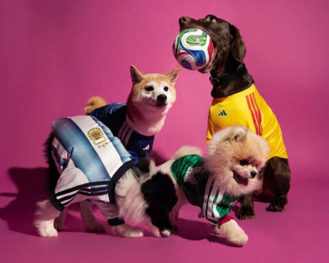 Look of the Week: Fetching World Cup jerseys for your furry friends
