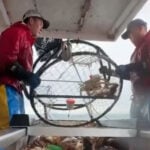 Tech billionaire pushes to restore Dungeness crab season for Thanksgiving