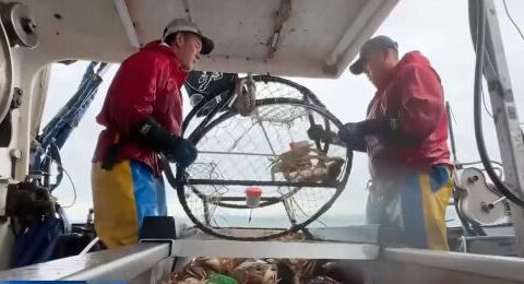 Tech billionaire pushes to restore Dungeness crab season for Thanksgiving