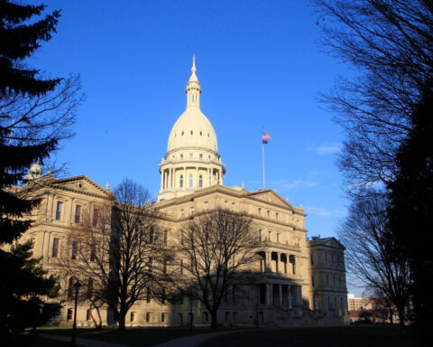 What to expect in Michigan's special election for control of the state Senate
