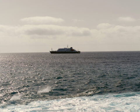 A cruise ship is waiting for help after a suspected outbreak of rare hantavirus onboard killed 3