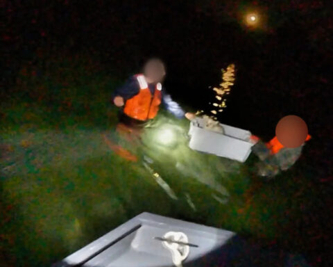 New Hampshire brothers, dog rescued from sinking sailboat in Essex River
