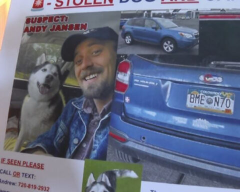 Dog taken during airman's deployment found dead, owner says, search for suspect ongoing