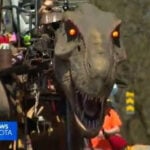 Mayday Minneapolis celebrates 50 years, drawing large crowds