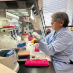 Inside the cruise ship at the center of the hantavirus outbreak