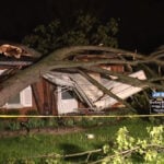 Large trees crash onto homes during storms in Southeast Michigan
