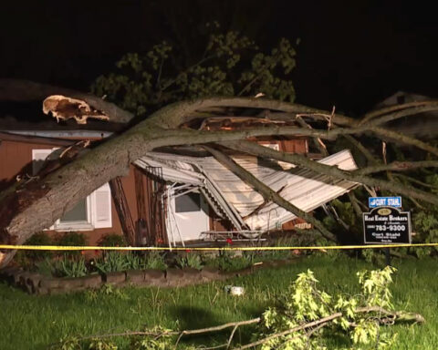 Large trees crash onto homes during storms in Southeast Michigan