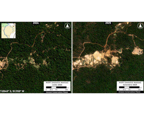 A gold-fueled mining rush scars Brazil’s Amazon, spiking deforestation and mercury risks