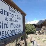 Peacocks, prehistoric artifacts, and a lava tube cave await visitors at this roadside stop