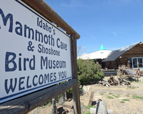 Peacocks, prehistoric artifacts, and a lava tube cave await visitors at this roadside stop