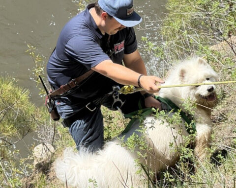 Reunited: First responders rescue 70-pound dog