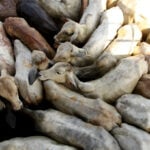 Brazil's beef exports could drop 10% in 2026 due to Chinese tariffs, says lobby ABIEC