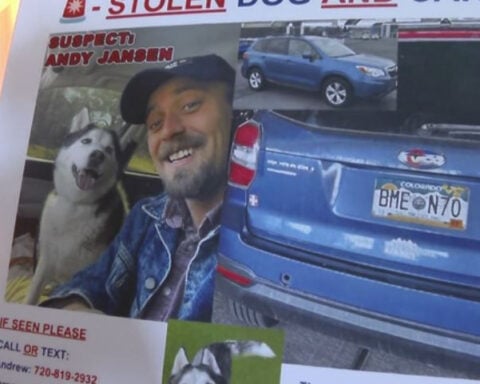 Man mourns dog's death after leaving him in care of pet sitter who remains missing