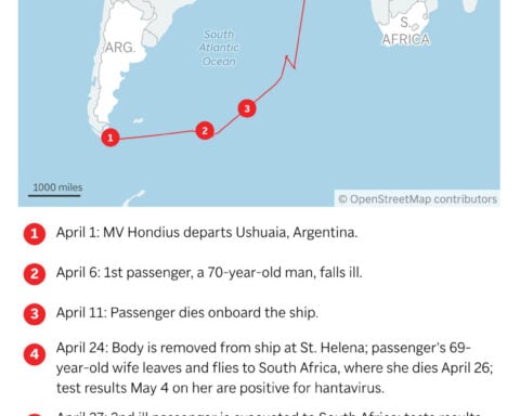 Hantavirus strain capable of human transmission found in cruise ship passengers