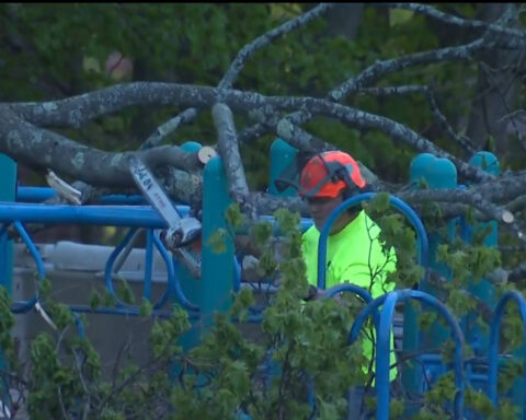 Boy killed by falling tree at Melrose, Massachusetts playground spent "last moments laughing and playing tag"