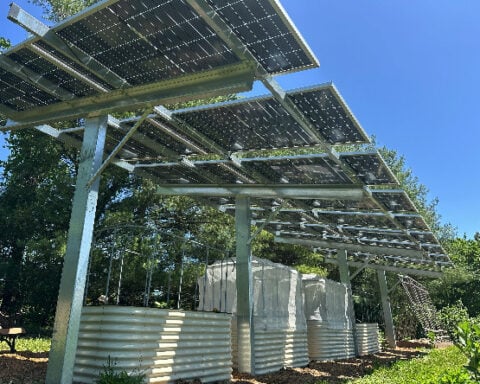'I won't know unless I try': Family farm experiments with agrivoltaics for crop production