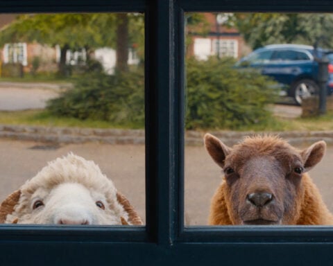 ‘The Sheep Detectives’ is the starry, family-friendly whodunit you didn’t know you needed