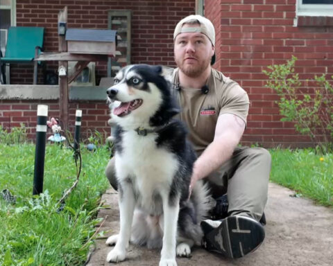 Man accused of holding family's dog for ransom until police knocked on his door