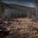 Asheville City Council to decide where to direct $18M+ in Helene recovery funds