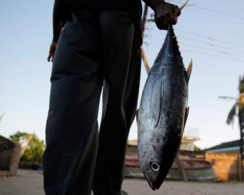 European fishing firms reflag ships to tap Indian Ocean tuna quotas, report finds