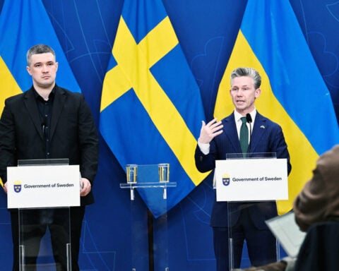 Ukraine Gripen fighter jet deal could be signed within months, defence minister says