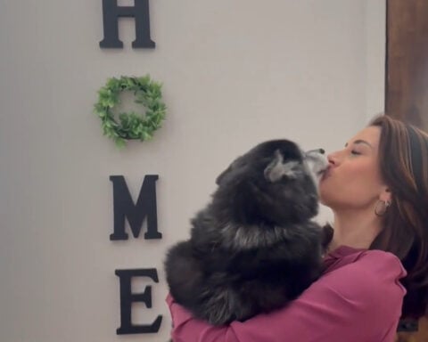 Dog Moms Day on Saturday