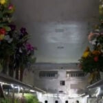 Flower shops plan deliveries carefully as gas prices surge