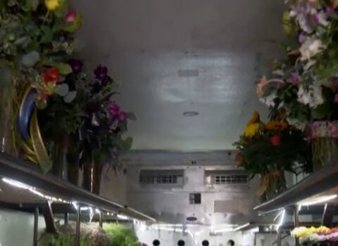 Flower shops plan deliveries carefully as gas prices surge