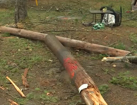 Father saves his son from falling power lines