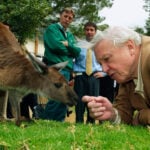 David Attenborough, the excited but hushed voice of nature programs, turns 100