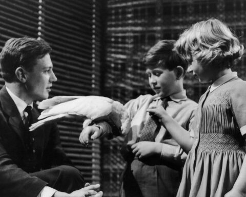 David Attenborough at 100: Key moments from an extraordinary life