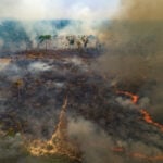 Despite gains combating deforestation in Brazil's Amazon, forest degradation is a looming threat