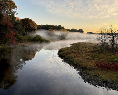 Thoreau the scientist – how environmental research informed ‘Walden’ and later works