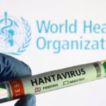 Experts race to write guidance to contain first ship-borne hantavirus outbreak