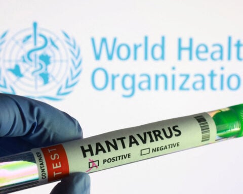 Experts race to write guidance to contain first ship-borne hantavirus outbreak