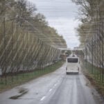 Russia says radiation levels are normal after fires near Chornobyl