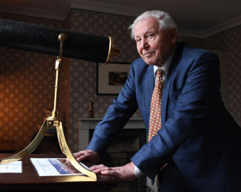 David Attenborough turns 100 and gets a newly identified species named after him