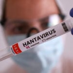 WHO reports six confirmed hantavirus cases tied to Spain-bound cruise
