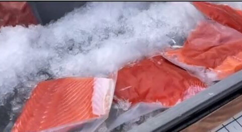 California king salmon returns to San Francisco markets after 3-year shutdown