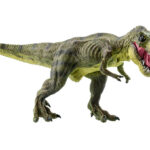 Why did ‘Tyrannosaurus rex’ have such short arms?